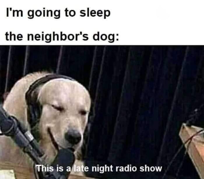 dog.jpg.d5a8bc71a9b32a89cbe375191dfc755f.jpg