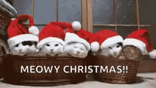 image.png.2761b8c86d28449835828f58caa1cb24.png